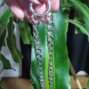 Collar