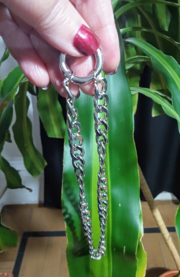 Collar